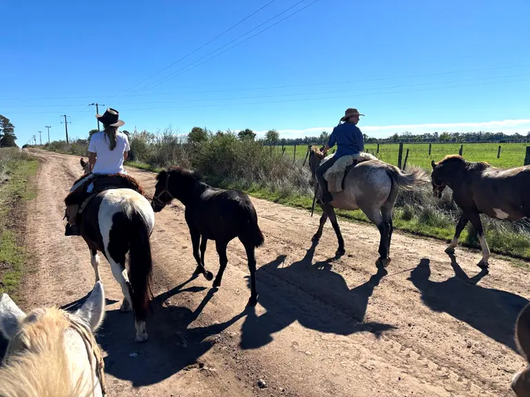 Horseback riding in the open landscapes of Argentina