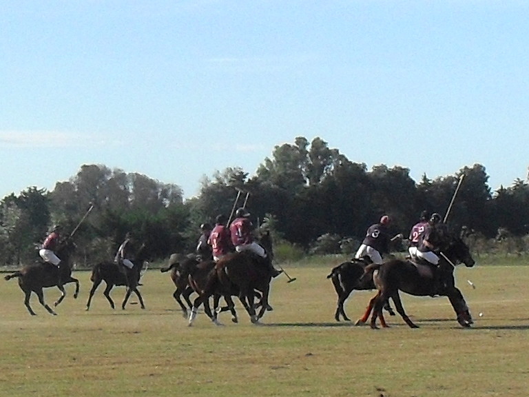 Polo game in San Antonio de Areco