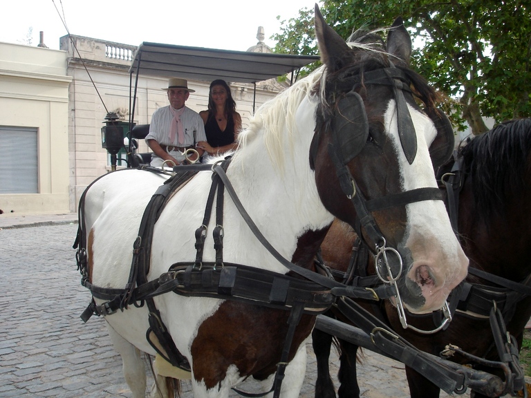 Horse carrriages in San Antonio de Areco