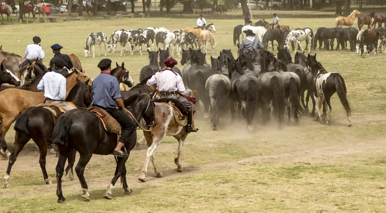 Gauchos getting ready for the horse games